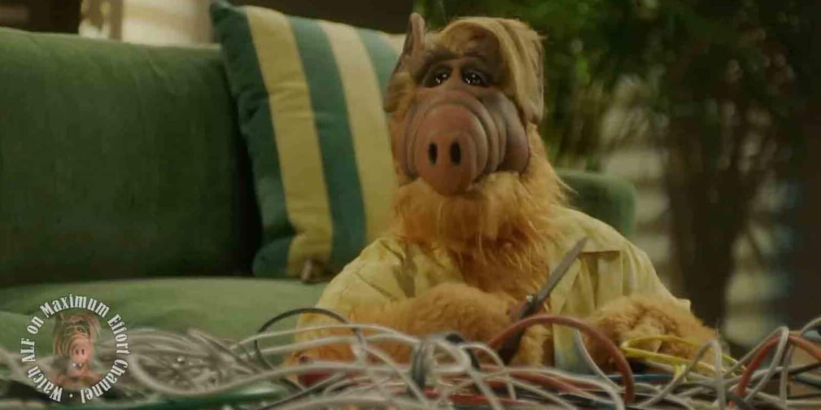 What Was ALF Anyway and Why We’re Excited for His Return